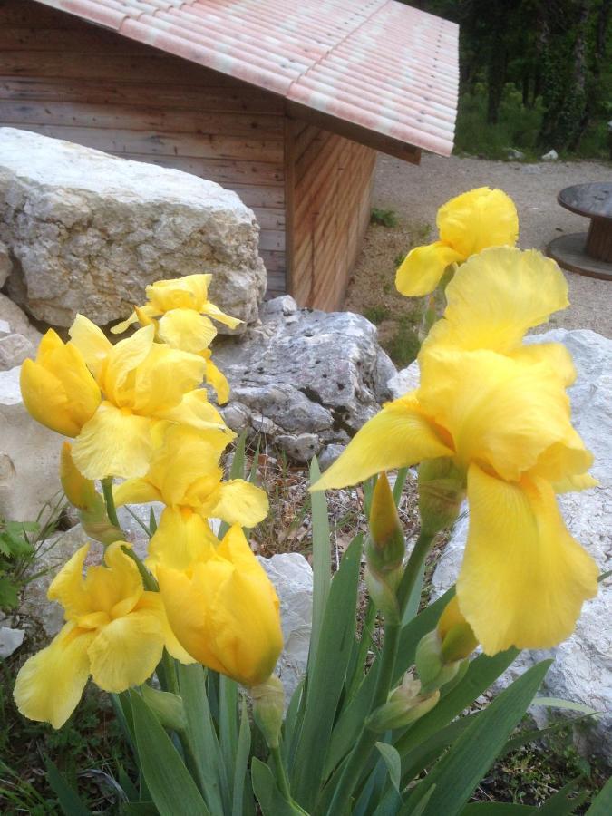 Lodge Du Berlandou Escragnolles Εξωτερικό φωτογραφία